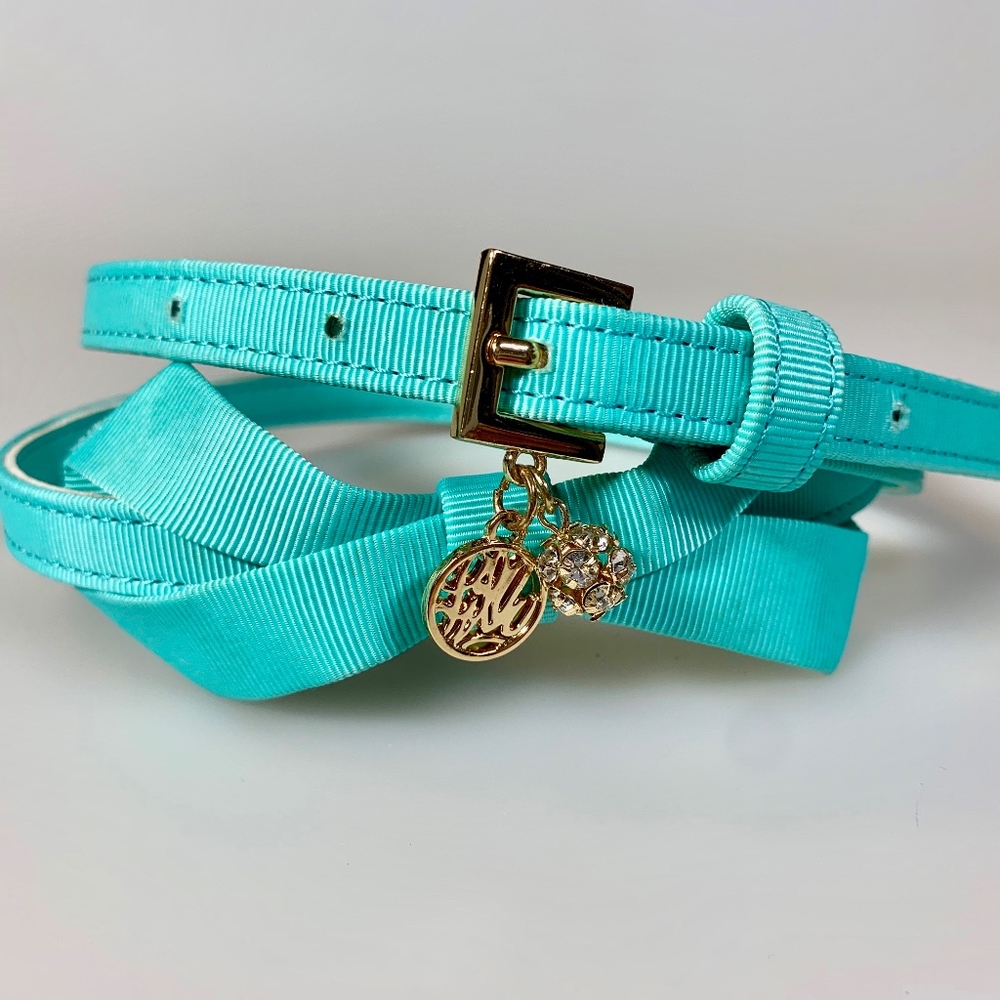 Lilly Pulitzer Turquoise Skinny Belt Charm Buckle